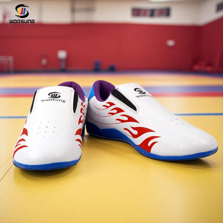 Zapatos deportivos de taekwondo