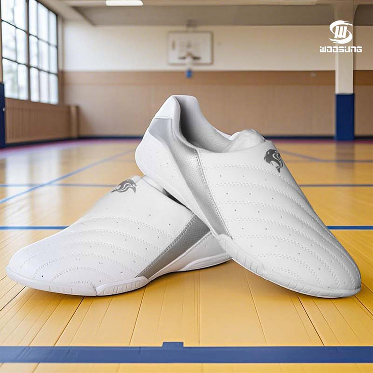 Zapatos De Taekwondo Blancos